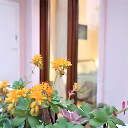 Lägenhet Casa Kennedy